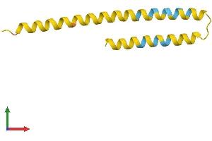 AlphaFold protein structure predicition of Human Recombinant FAM25A Protein, UniprotID B3EWG3
