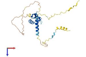 AlphaFold protein structure predicition of Human Recombinant LYSMD1 Protein, UniprotID Q96S90