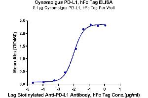 Immobilized Cynomolgus PD-L1, hFc Tag at 1 μg/mL (100 μL/well) on the plate.