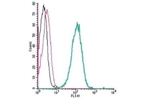 Cell surface detection of Nectin-4 by indirect flow cytometry in live intact human THP-1 monocytic leukemia cell line: (black line) Cells.