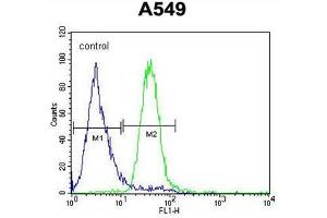 C5AR1 Antibody (Center) flow cytometric analysis of A549 cells (right histogram) compared to a negative control cell (left histogram). (C5AR1 anticorps  (Middle Region))