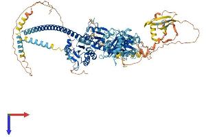 AlphaFold protein structure predicition of Human Recombinant TXNDC11 Protein, UniprotID Q6PKC3