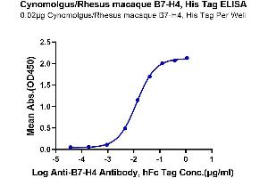 Immobilized Cynomolgus/Rhesus macaque B7-H4, His Tag at 0. (VTCN1 Protein (AA 29-258) (His tag))