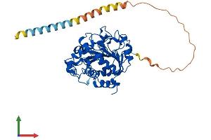 AlphaFold protein structure predicition of Human Recombinant ST6GAL1 Protein, UniprotID P15907