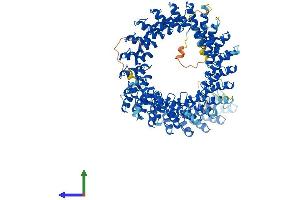 AlphaFold protein structure predicition of Mouse Recombinant Ankrd44 Protein, UniprotID B2RXR6