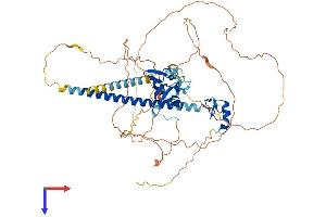 AlphaFold protein structure predicition of Mouse Recombinant Deaf1 Protein, UniprotID Q9Z1T5