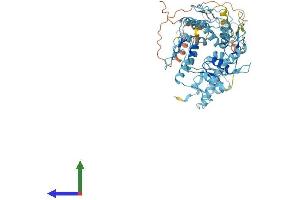AlphaFold protein structure predicition of Human Recombinant ZNF92 Protein, UniprotID Q03936
