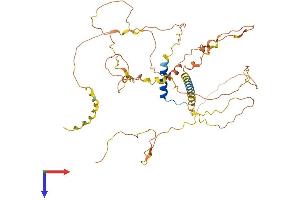 AlphaFold protein structure predicition of Mouse Recombinant Fbrs Protein, UniprotID Q8R089