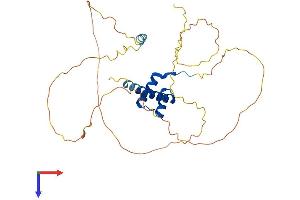 AlphaFold protein structure predicition of Mouse Recombinant Hoxa11 Protein, UniprotID P31311
