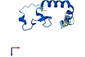 AlphaFold protein structure predicition of Mouse Recombinant Cnpy1 Protein, UniprotID Q4VAB4