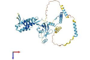 AlphaFold protein structure predicition of Human Recombinant UBXN6 Protein, UniprotID Q9BZV1
