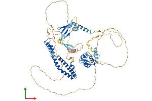 AlphaFold protein structure predicition of Mouse Recombinant Ell2 Protein, UniprotID Q3UKU1