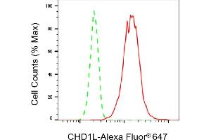 Flow cytometric analysis of CHD1L expression in HT- cells using CHD1L antibody (ABIN7798067), 1:2,000). (Recombinant CHD1L anticorps)
