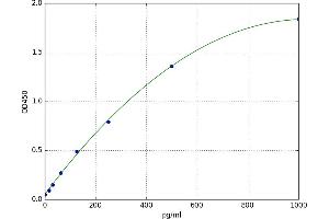 Chemokine (C-X-C Motif) Ligand 15 (CXCL15) ELISA Kit