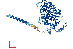 AlphaFold protein structure predicition of Human Recombinant ST3GAL3 Protein, UniprotID Q11203