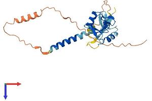 AlphaFold protein structure predicition of Human Recombinant KLRC3 Protein, UniprotID Q07444