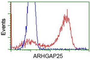 Flow Cytometry (FACS) image for anti-rho GTPase Activating Protein 25 (ARHGAP25) antibody (ABIN1496704) (ARHGAP25 anticorps)