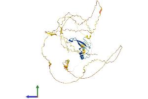 AlphaFold protein structure predicition of Mouse Recombinant Mecp2 Protein, UniprotID Q9Z2D6