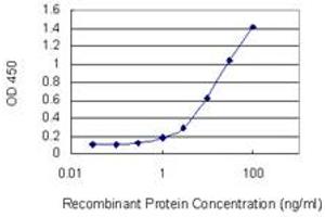 Detection limit for recombinant GST tagged PASD1 is 0. (PASD1 anticorps  (AA 1-100))