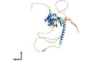 AlphaFold protein structure predicition of Human Recombinant MIDN Protein, UniprotID Q504T8
