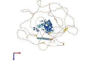 AlphaFold protein structure predicition of Human Recombinant ITPKB Protein, UniprotID P27987