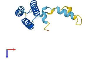 AlphaFold protein structure predicition of Mouse Recombinant Lyrm1 Protein, UniprotID Q9CQB7