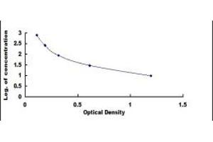ELISA image for Von Willebrand Factor (VWF) ELISA Kit (ABIN4948137)