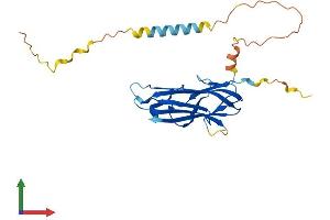 AlphaFold protein structure predicition of Human Recombinant TNFSF9 Protein, UniprotID P41273