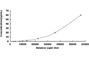 ELISA image for TIMP Metallopeptidase Inhibitor 3 (TIMP3) CLIA Kit (ABIN491826)