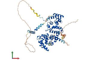 AlphaFold protein structure predicition of Human Recombinant PPP2R3B Protein, UniprotID Q9Y5P8