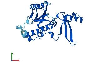 AlphaFold protein structure predicition of Human Recombinant POLR2E Protein, UniprotID P19388