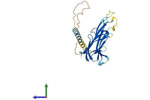 AlphaFold protein structure predicition of Human Recombinant LTB Protein, UniprotID Q06643