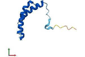 AlphaFold protein structure predicition of Mouse Recombinant Triap1 Protein, UniprotID Q9D8Z2