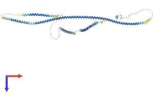 AlphaFold protein structure predicition of Mouse Recombinant Optn Protein, UniprotID Q8K3K8