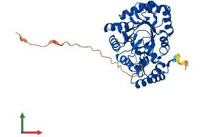 AlphaFold protein structure predicition of Mouse Recombinant Kcnab2 Protein, UniprotID P62482