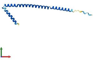 AlphaFold protein structure predicition of Human Recombinant BORCS8 Protein, UniprotID Q96FH0