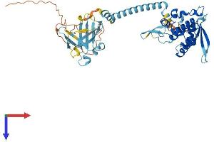 AlphaFold protein structure predicition of Mouse Recombinant Polr1e Protein, UniprotID Q8K202