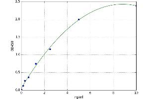 A typical standard curve