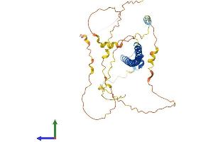 AlphaFold protein structure predicition of Human Recombinant MAFA Protein, UniprotID Q8NHW3