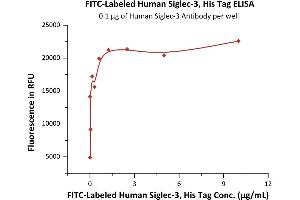 Immobilized Human Siglec-3 Antibody at 1 μg/mL (100 μL/well) can bind Fed Human Siglec-3, His Tag (ABIN6973264) with a linear range of 0.