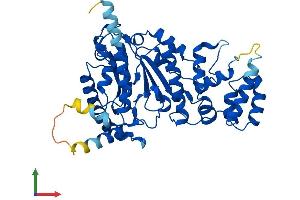 AlphaFold protein structure predicition of Human Recombinant PRIM1 Protein, UniprotID P49642
