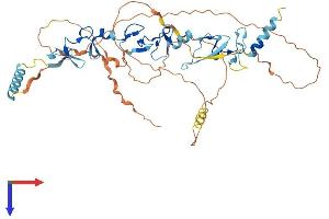 AlphaFold protein structure predicition of Human Recombinant TRIP6 Protein, UniprotID Q15654