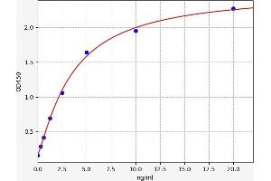 Typical standard curve (ATP2A3 Kit ELISA)