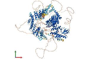 AlphaFold protein structure predicition of Mouse Recombinant Kdm6a Protein, UniprotID O70546