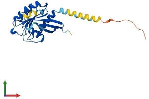 AlphaFold protein structure predicition of Mouse Recombinant Rab15 Protein, UniprotID Q8K386