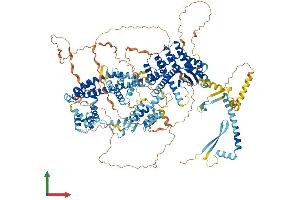 AlphaFold protein structure predicition of Human Recombinant SIN3A Protein, UniprotID Q96ST3