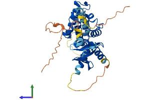 AlphaFold protein structure predicition of Mouse Recombinant Gas2 Protein, UniprotID P11862