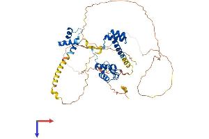 AlphaFold protein structure predicition of Human Recombinant PAX3 Protein, UniprotID P23760