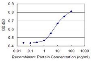 Detection limit for recombinant GST tagged MAP3K7IP1 is 1 ng/ml as a capture antibody. (TAB1 anticorps  (AA 1-504))