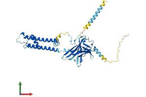 AlphaFold protein structure predicition of Human Recombinant KCNJ1 Protein, UniprotID P48048